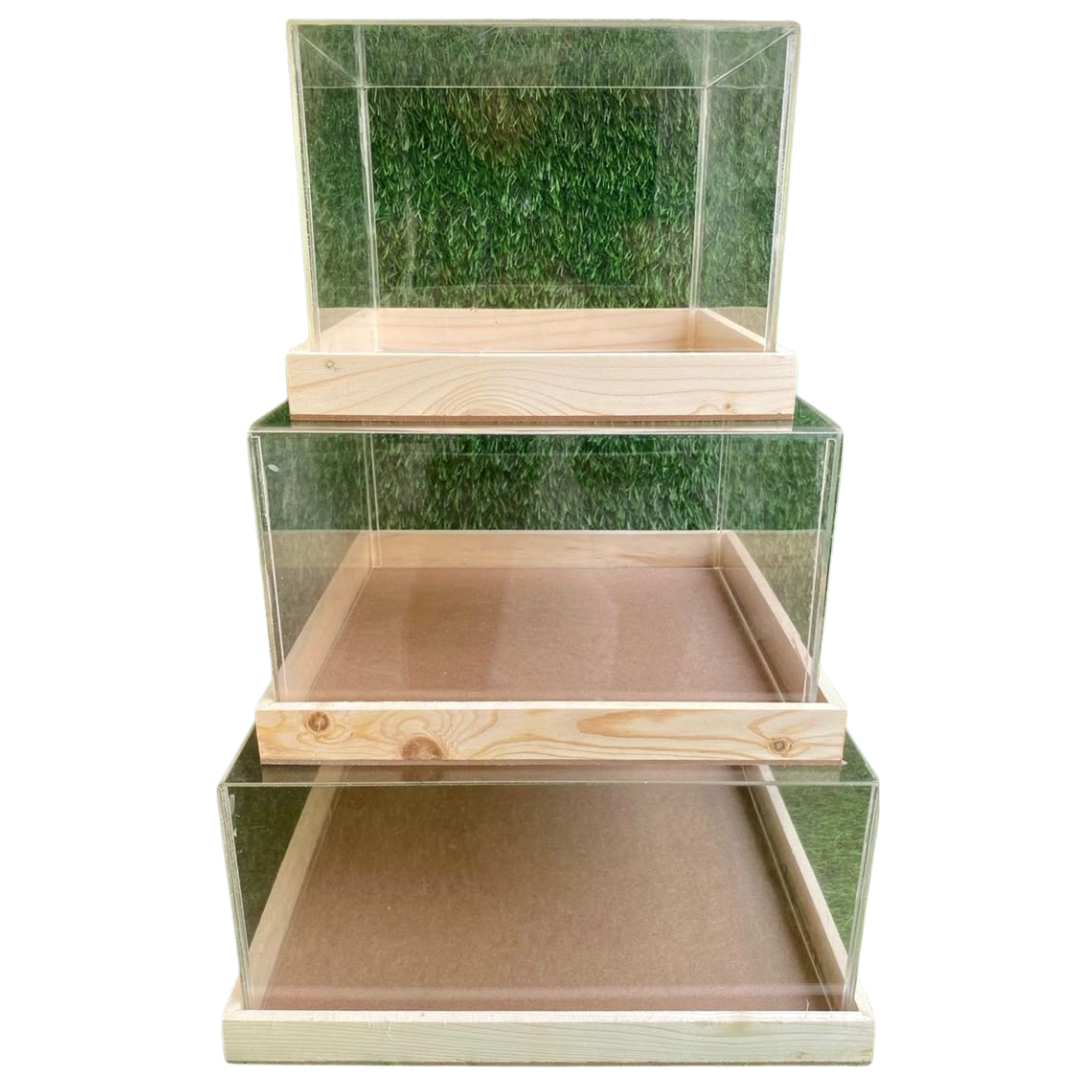 Wooden Display Tray with Transparent Acrylic Cover